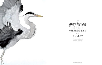 The Book of the Bird: Birds in Art by Angus Hyland & Kendra Wilson