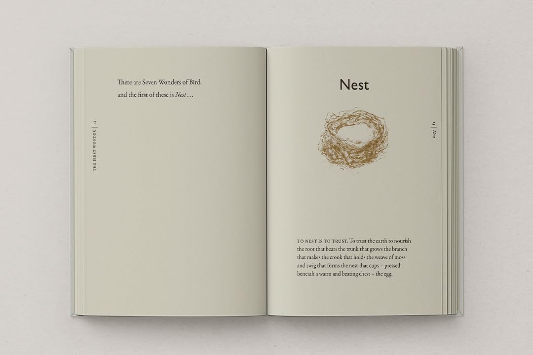 The Book of Birds: A Field Guide to Wonder and Loss by Robert Macfarlane & Jackie Morris