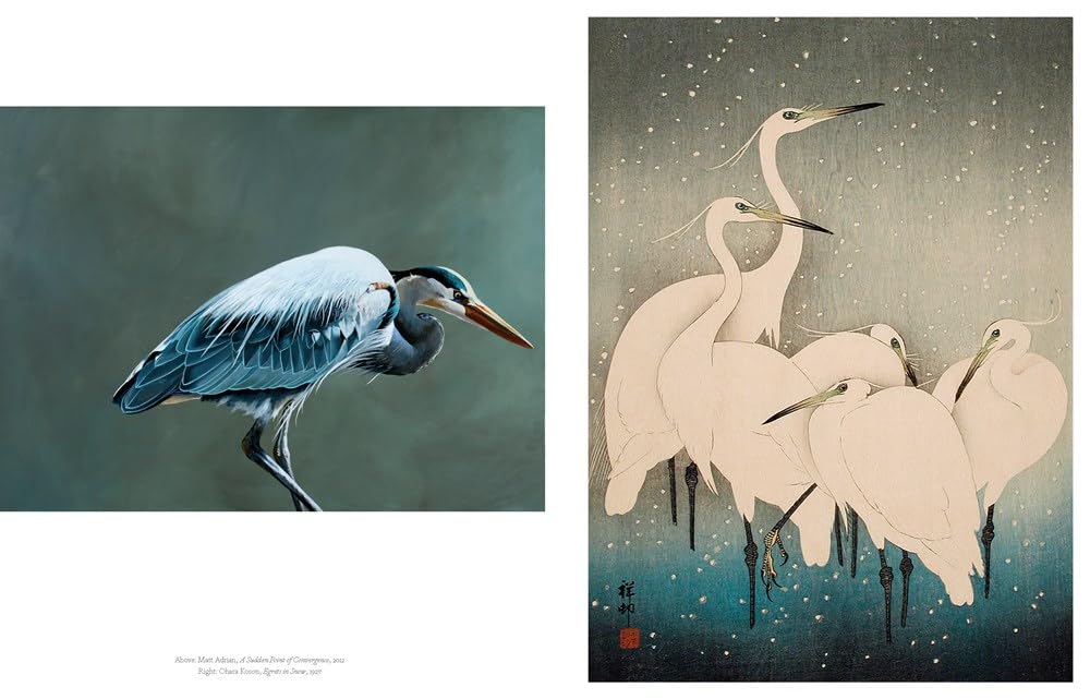 The Book of the Bird: Birds in Art by Angus Hyland & Kendra Wilson