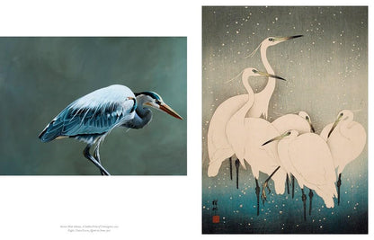 The Book of the Bird: Birds in Art by Angus Hyland & Kendra Wilson