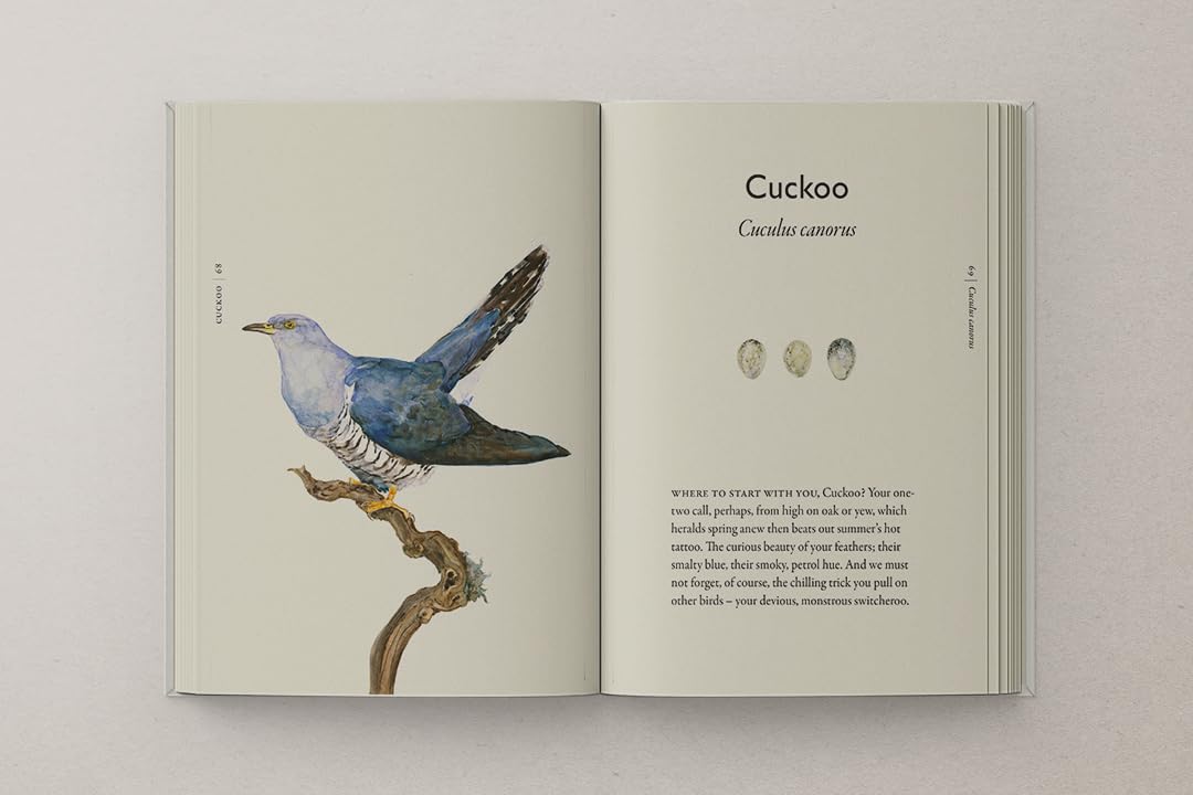 The Book of Birds: A Field Guide to Wonder and Loss by Robert Macfarlane & Jackie Morris