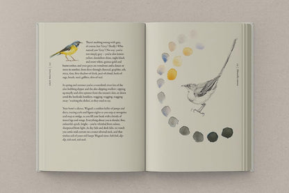 The Book of Birds: A Field Guide to Wonder and Loss by Robert Macfarlane & Jackie Morris