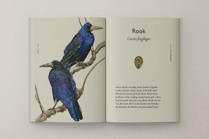 The Book of Birds: A Field Guide to Wonder and Loss by Robert Macfarlane & Jackie Morris