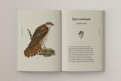 The Book of Birds: A Field Guide to Wonder and Loss by Robert Macfarlane & Jackie Morris