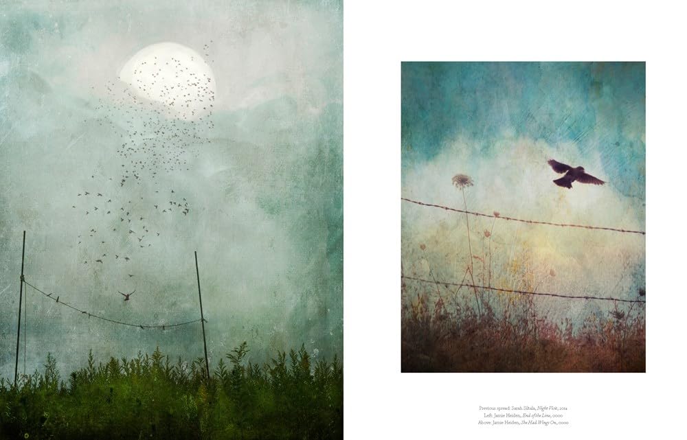 The Book of the Bird: Birds in Art by Angus Hyland & Kendra Wilson