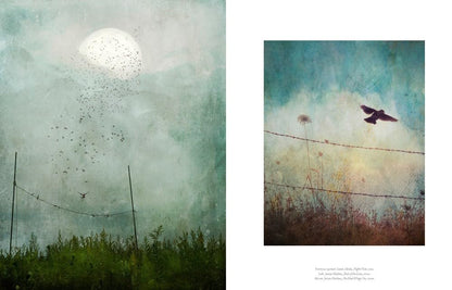 The Book of the Bird: Birds in Art by Angus Hyland & Kendra Wilson