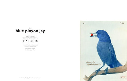 The Book of the Bird: Birds in Art by Angus Hyland & Kendra Wilson