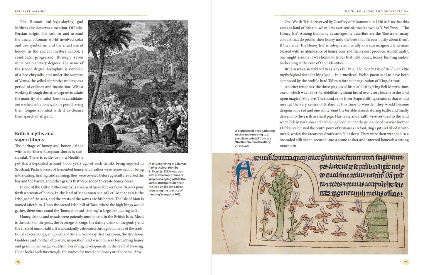 Bee-Skep Making: Heritage, folklore and how to make and use your own skeps by Chris Park