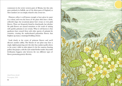 The Book of Wild Flowers: Reflections on Favourite Plants by Angie Lewin & Christopher Stocks