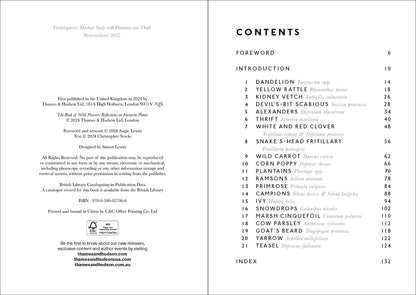 The Book of Wild Flowers: Reflections on Favourite Plants by Angie Lewin & Christopher Stocks