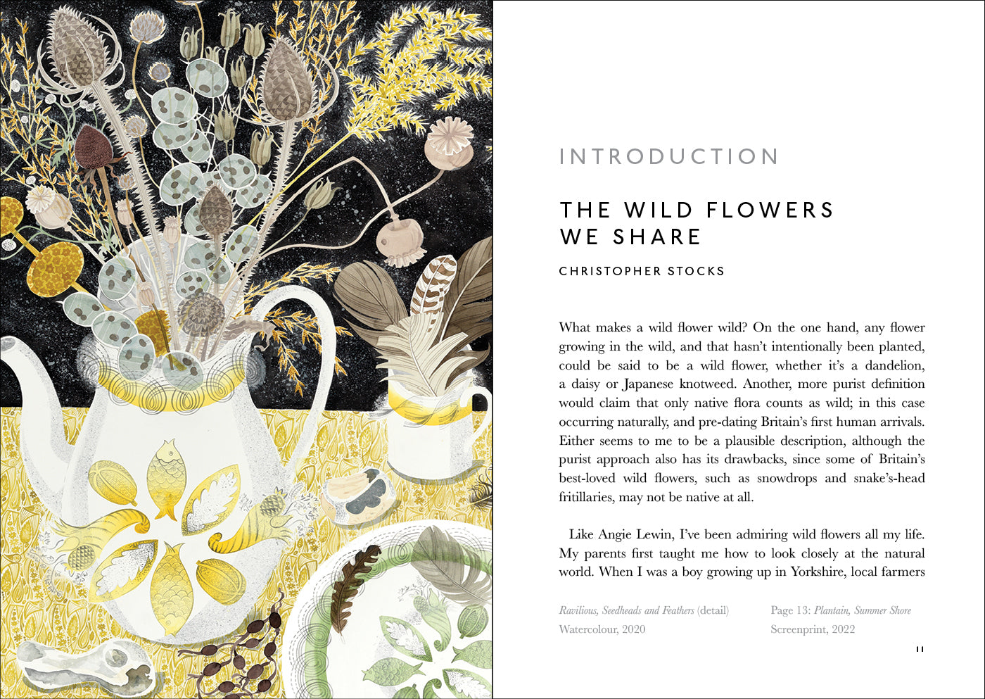 The Book of Wild Flowers: Reflections on Favourite Plants by Angie Lewin & Christopher Stocks