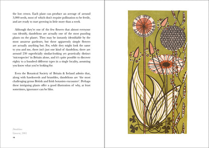The Book of Wild Flowers: Reflections on Favourite Plants by Angie Lewin & Christopher Stocks