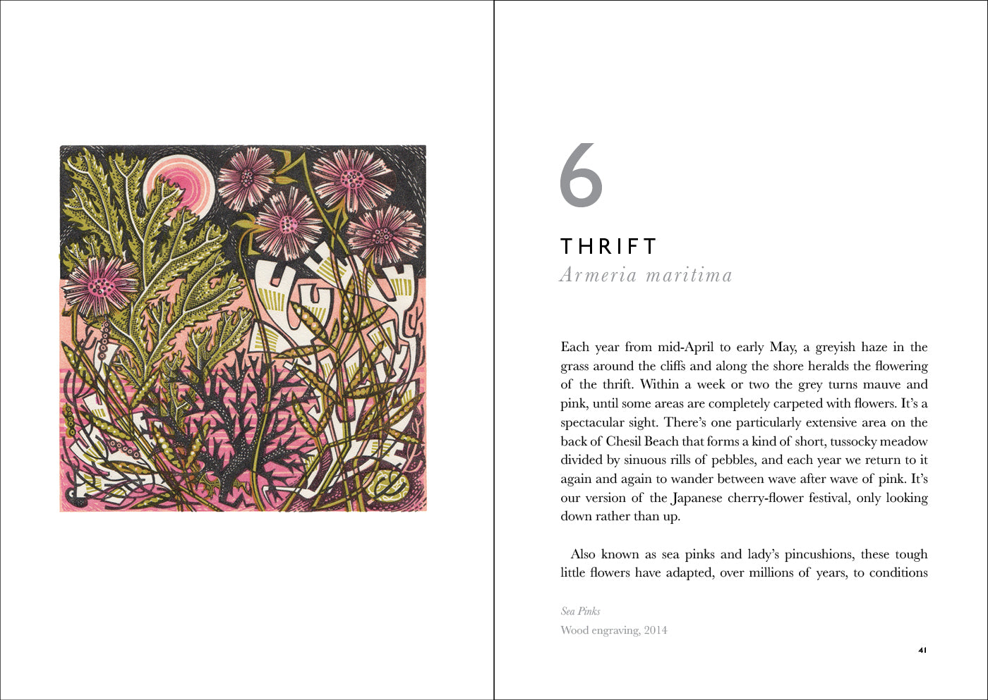 The Book of Wild Flowers: Reflections on Favourite Plants by Angie Lewin & Christopher Stocks