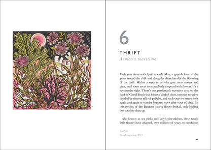 The Book of Wild Flowers: Reflections on Favourite Plants by Angie Lewin & Christopher Stocks