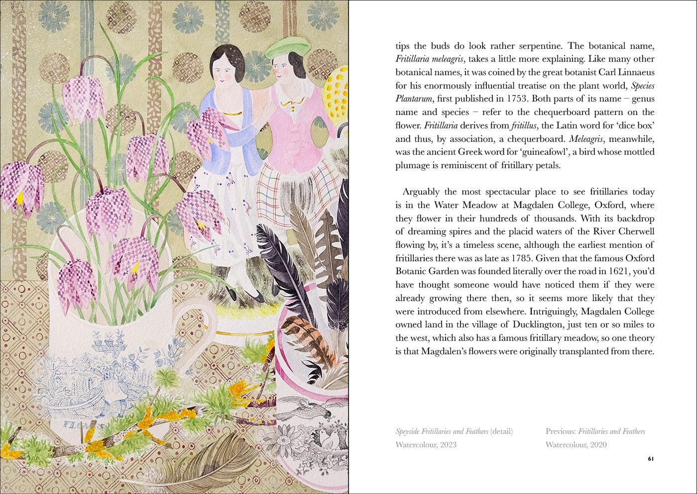 The Book of Wild Flowers: Reflections on Favourite Plants by Angie Lewin & Christopher Stocks