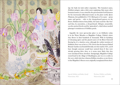 The Book of Wild Flowers: Reflections on Favourite Plants by Angie Lewin & Christopher Stocks