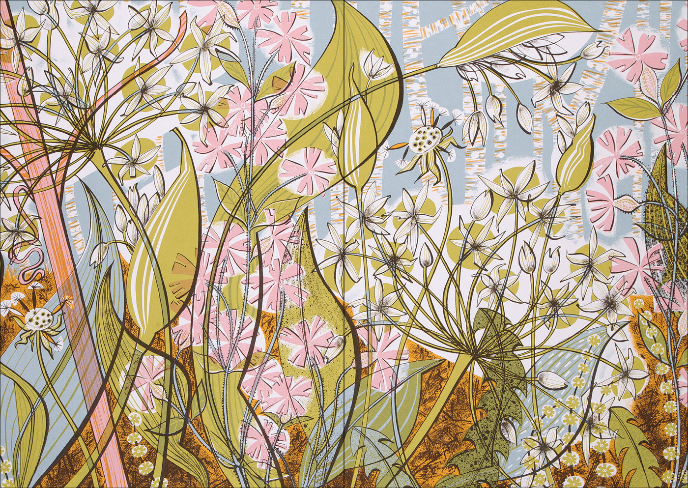 The Book of Wild Flowers: Reflections on Favourite Plants by Angie Lewin & Christopher Stocks