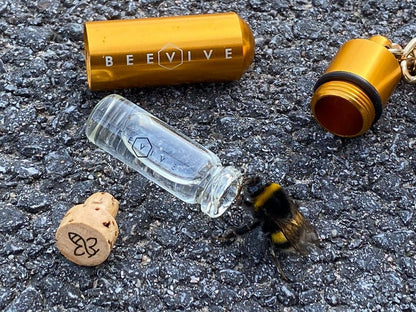 Bee Revival Kit