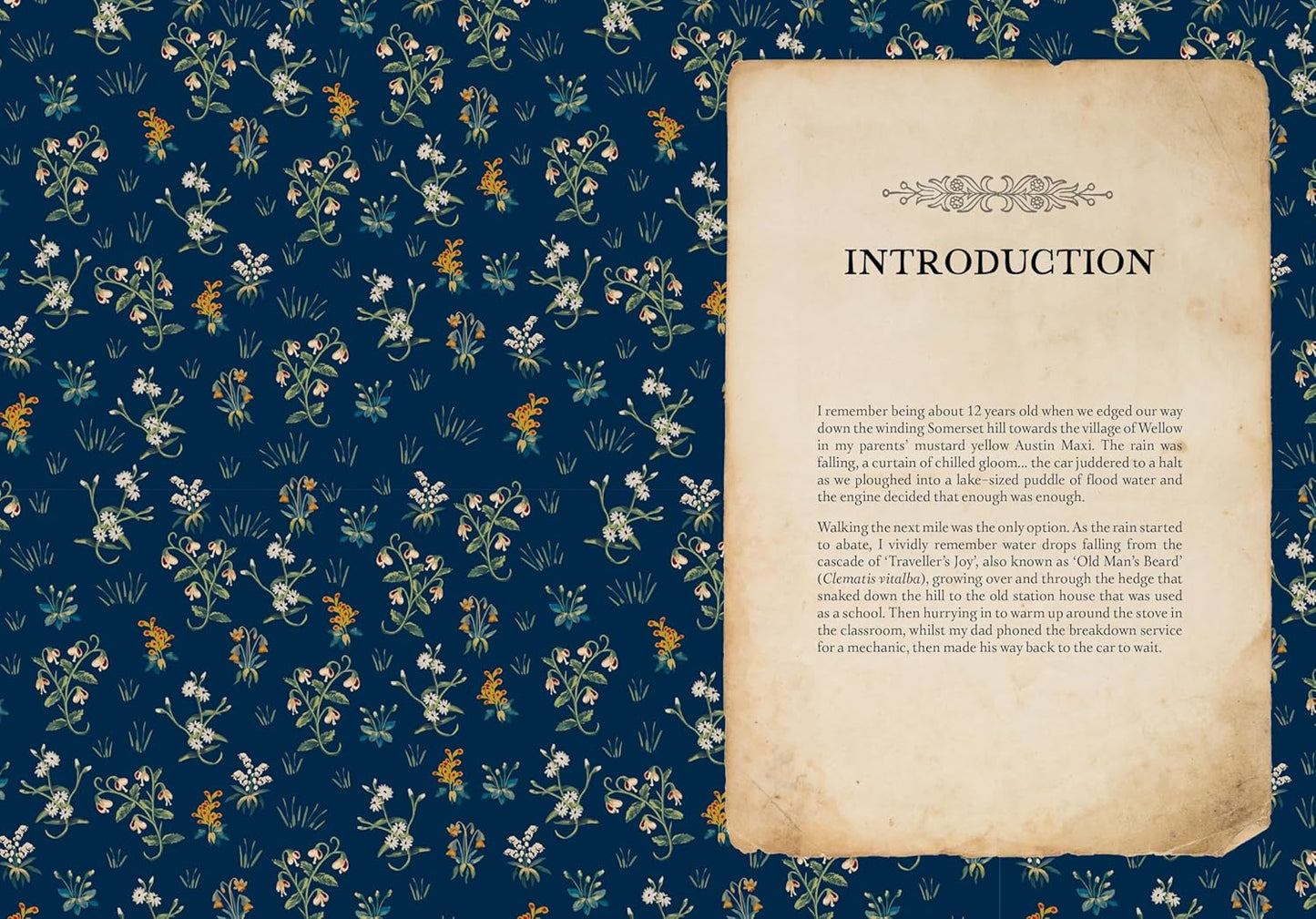 Collected Curiosities: More Stories and Recipes from the Historical Apothecary Cabinet by Amanda Edmiston