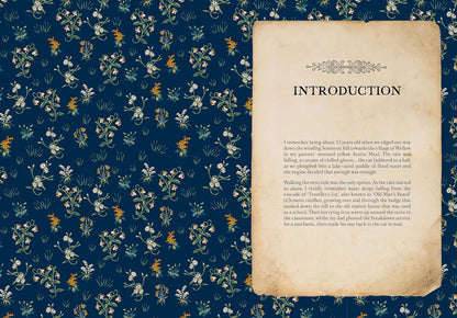 Collected Curiosities: More Stories and Recipes from the Historical Apothecary Cabinet by Amanda Edmiston