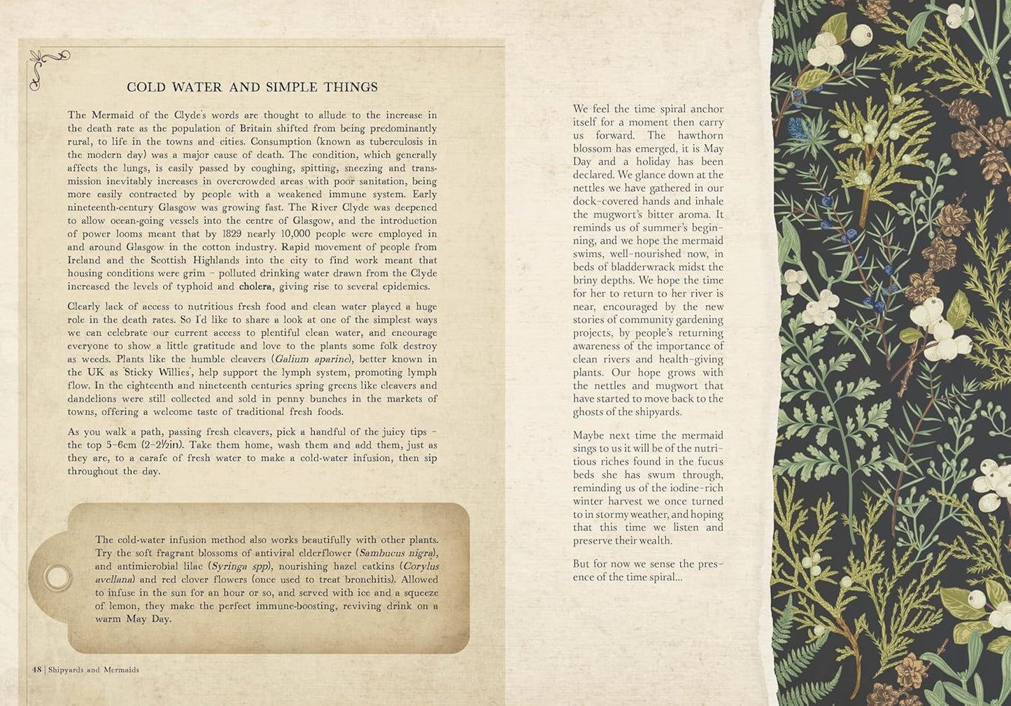 Collected Curiosities: More Stories and Recipes from the Historical Apothecary Cabinet by Amanda Edmiston