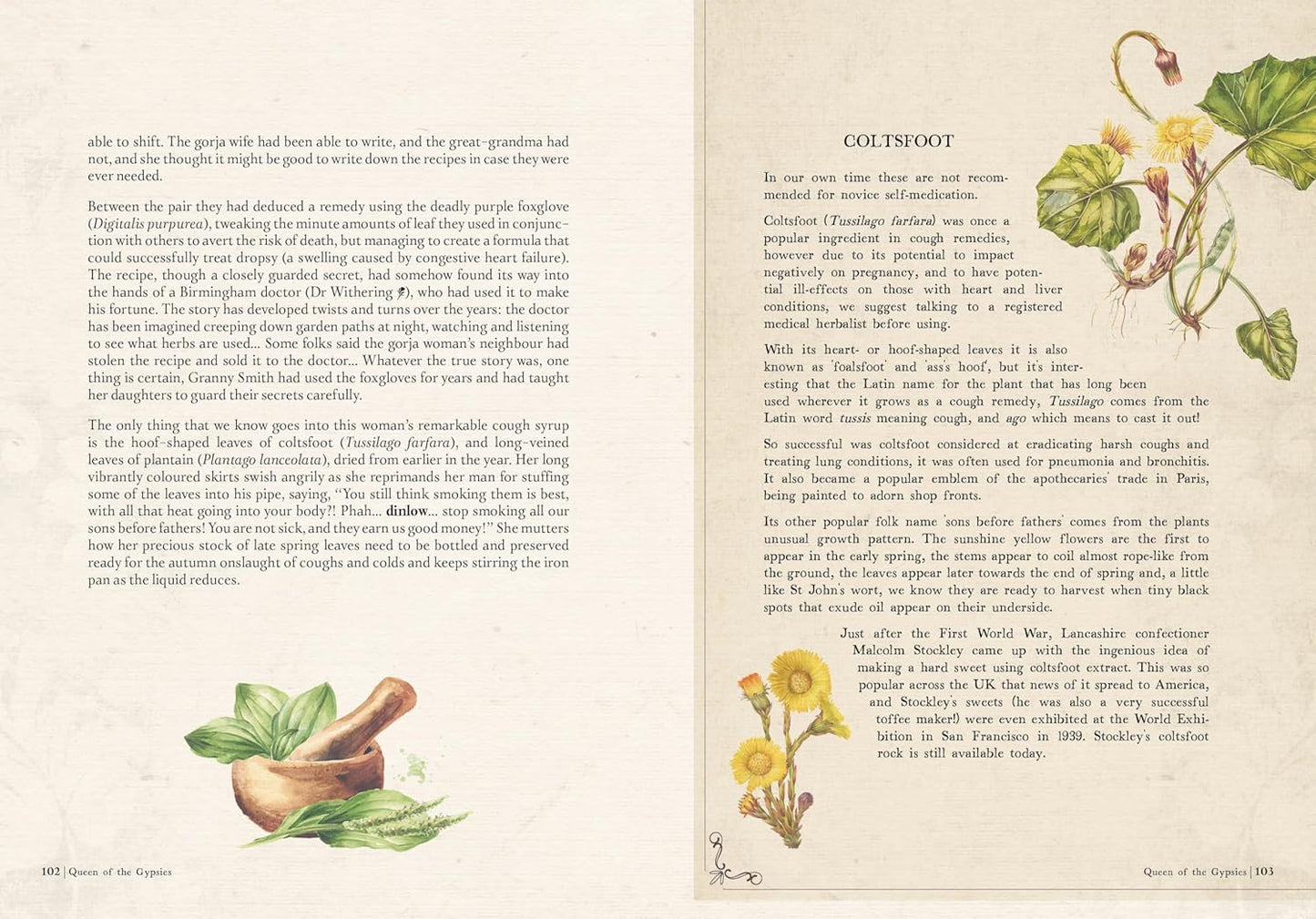 Collected Curiosities: More Stories and Recipes from the Historical Apothecary Cabinet by Amanda Edmiston