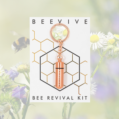 Bee Revival Kit