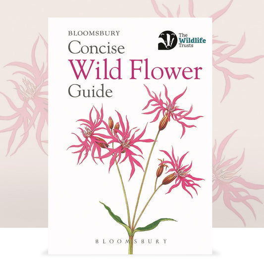 Concise Wild Flower Guide by Bloomsbury