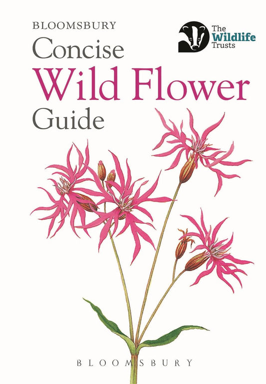 Concise Wild Flower Guide by Bloomsbury