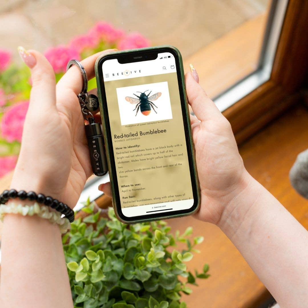 Bee Revival Kit with Bee ID Tag 🐝