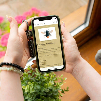 Bee Revival Kit with Bee ID Tag 🐝