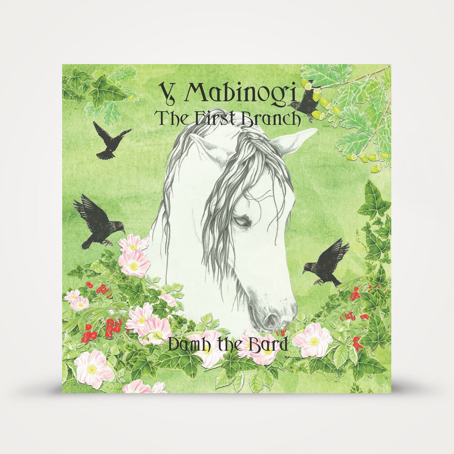 Y Mabinogi - The First Branch (CD) | Damh the Bard