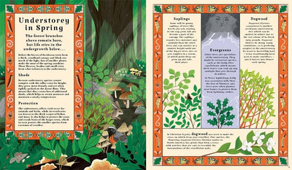 Woodlore: Discover the seasons and stories of the forest by Kevin Parr