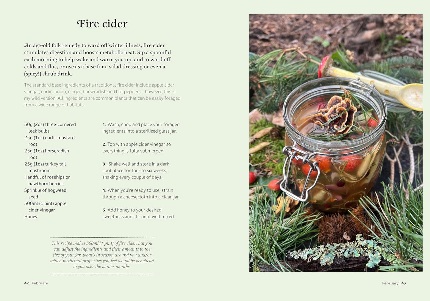 The Forager's Almanac: A year of sustainable foraging, wildcraft and recipes by Danielle Gallacher