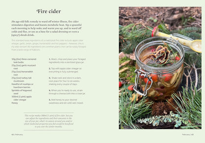 The Forager's Almanac: A year of sustainable foraging, wildcraft and recipes by Danielle Gallacher