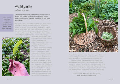 The Forager's Almanac: A year of sustainable foraging, wildcraft and recipes by Danielle Gallacher