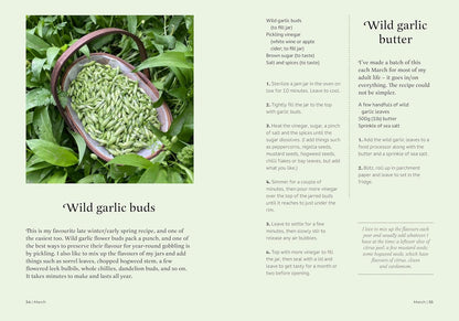 The Forager's Almanac: A year of sustainable foraging, wildcraft and recipes by Danielle Gallacher