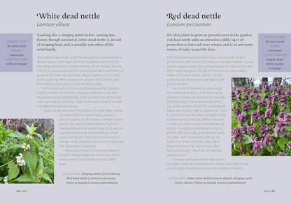 The Forager's Almanac: A year of sustainable foraging, wildcraft and recipes by Danielle Gallacher