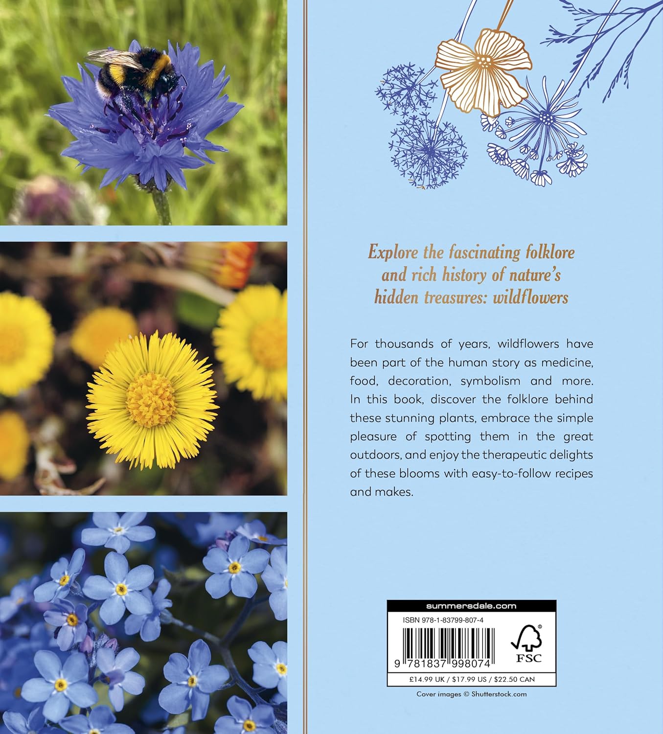The Hedgerow Apothecary's Field Guide to Wildflowers: Recipes, Remedies and Folklore by Christine Iverson