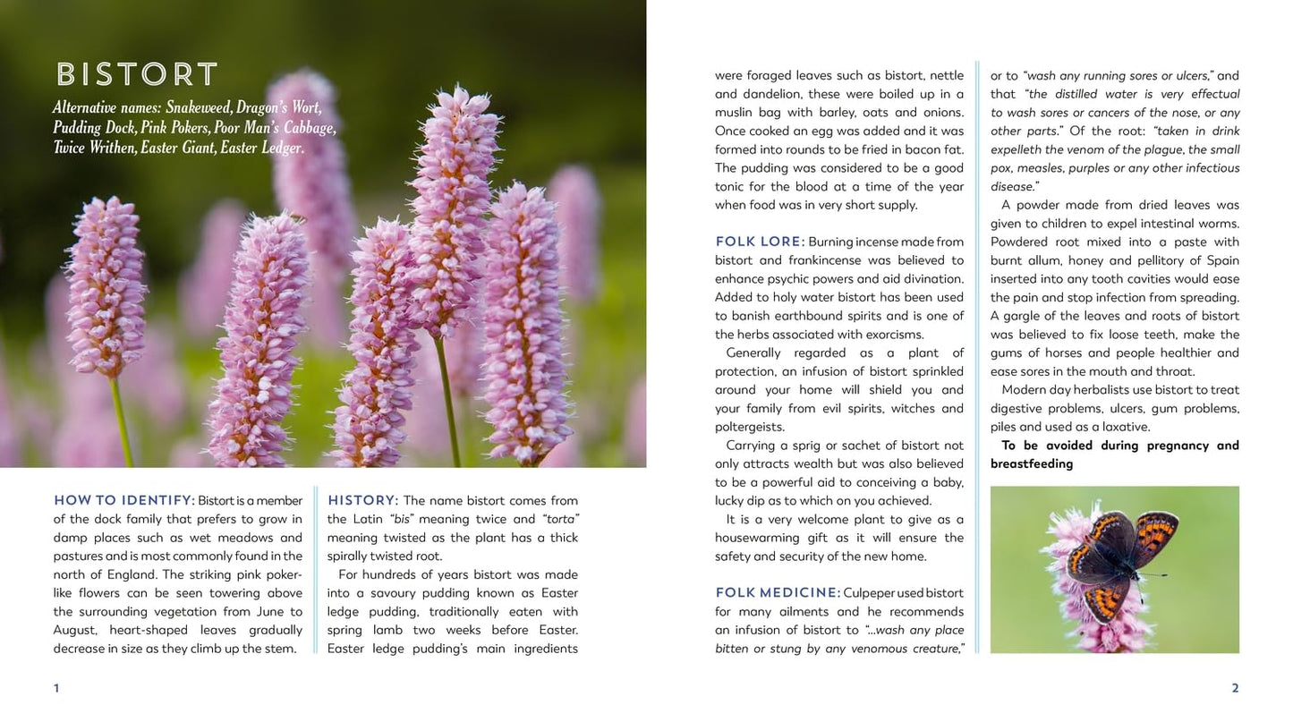 The Hedgerow Apothecary's Field Guide to Wildflowers: Recipes, Remedies and Folklore by Christine Iverson