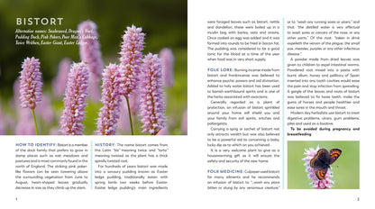 The Hedgerow Apothecary's Field Guide to Wildflowers: Recipes, Remedies and Folklore by Christine Iverson