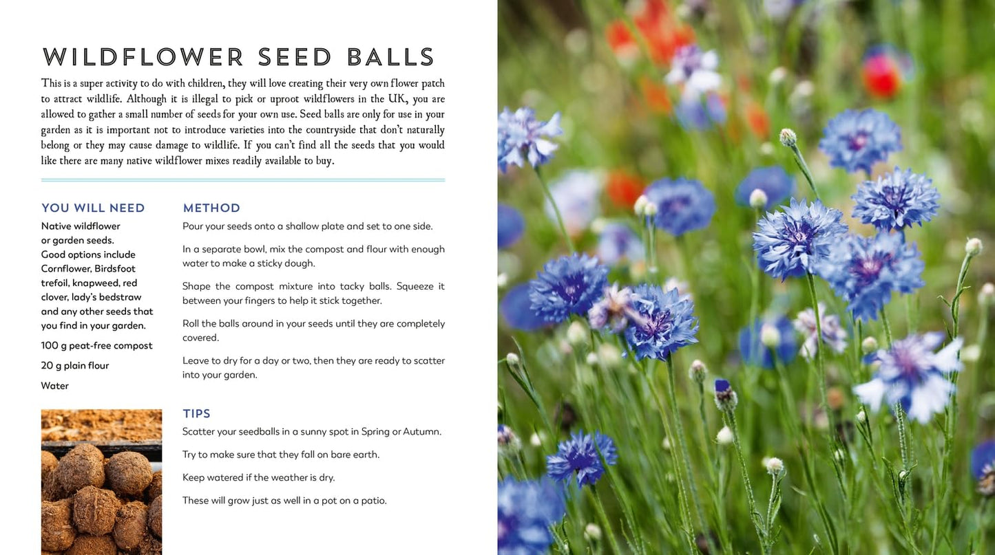 The Hedgerow Apothecary's Field Guide to Wildflowers: Recipes, Remedies and Folklore by Christine Iverson