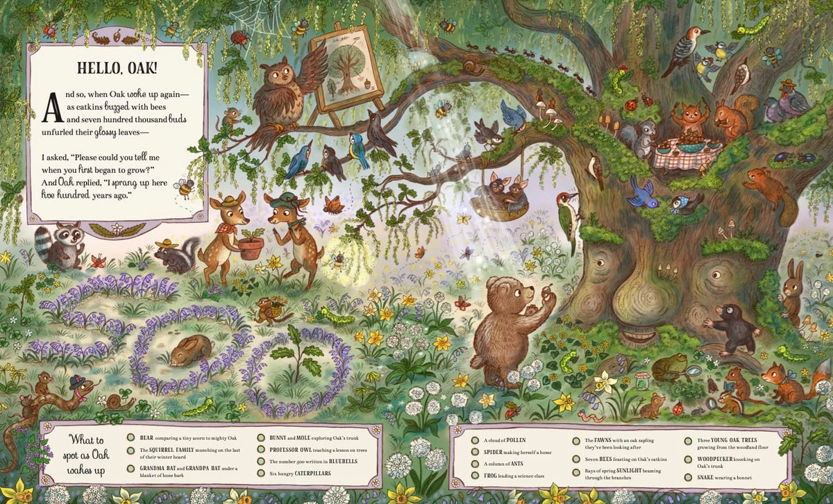 Grand Old Oak and the Birthday Ball: More Than 100 Things to Find by Rachel Piercey