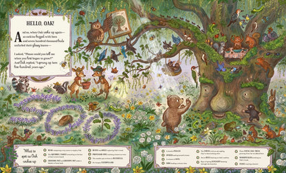 Grand Old Oak and the Birthday Ball: More Than 100 Things to Find by Rachel Piercey
