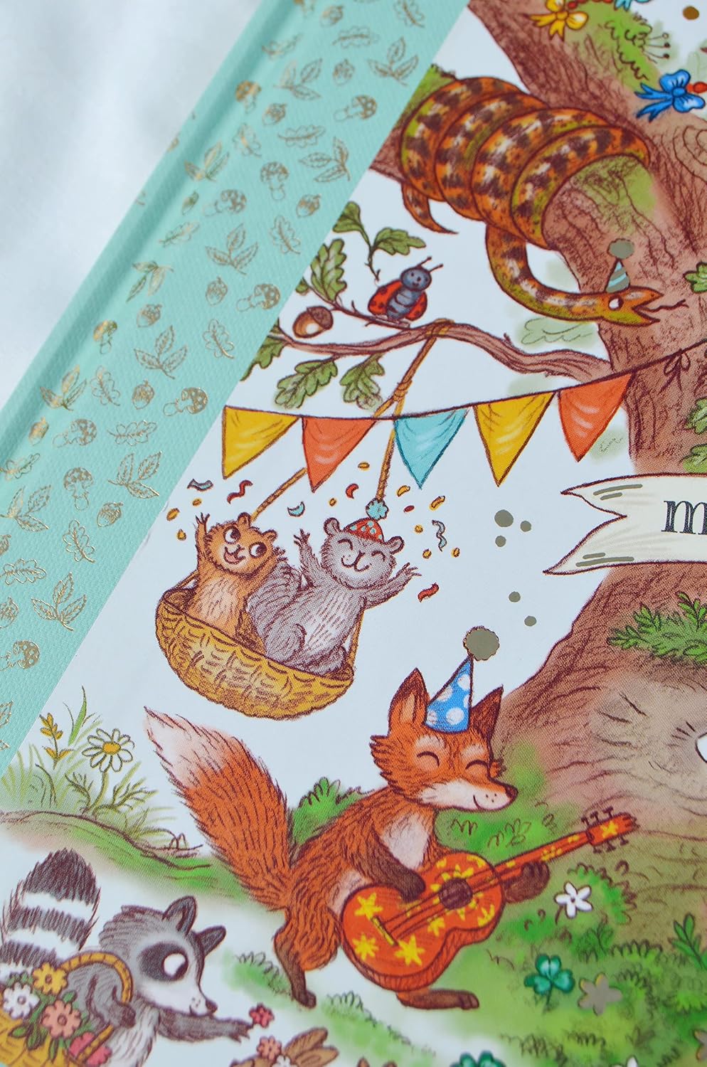 Grand Old Oak and the Birthday Ball: More Than 100 Things to Find by Rachel Piercey