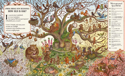 Grand Old Oak and the Birthday Ball: More Than 100 Things to Find by Rachel Piercey