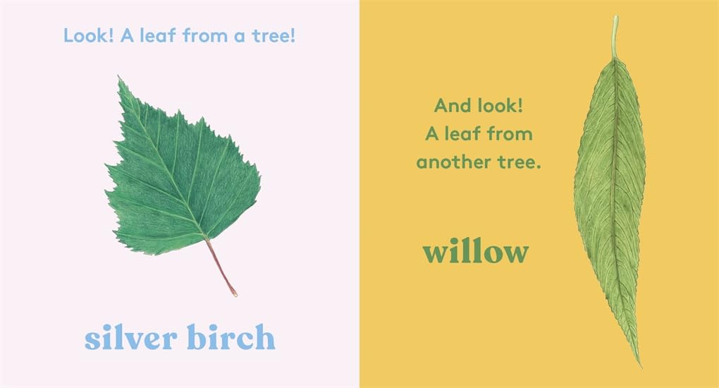 LOOK! A Tree by Anya Serota