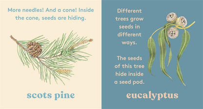 LOOK! A Tree by Anya Serota