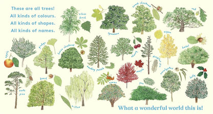 LOOK! A Tree by Anya Serota