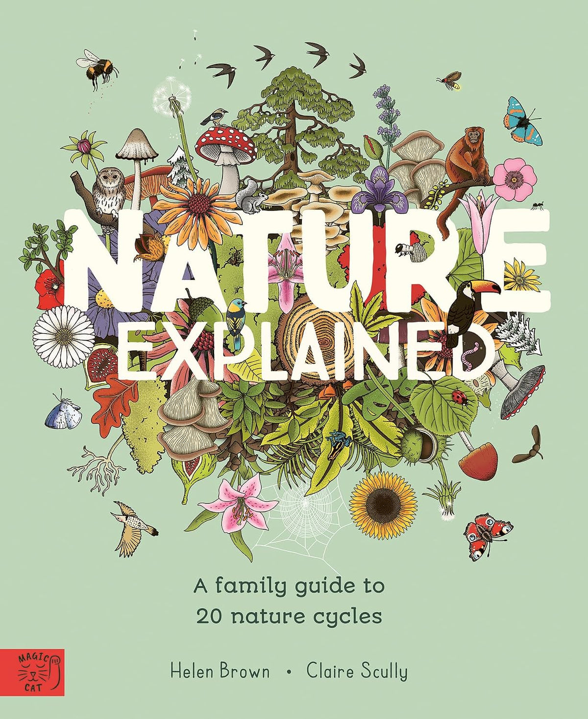 Nature Explained: A Family Guide to 20 Nature Cycles by Helen Brown